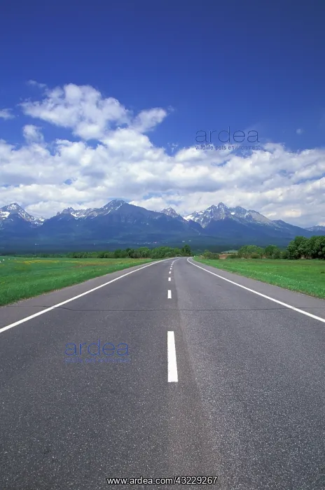 : Slovakia, High Tatras, Poprad. View of mountains : Slovakia, High Tatras, Poprad. View of mountains