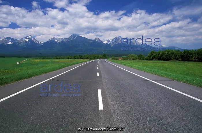 : Slovakia, High Tatras, Poprad. View of mountains : Slovakia, High Tatras, Poprad. View of mountains