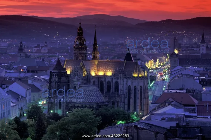 : Slovakia, Kosice. Cathedral of St. Elizabeth : Slovakia, Kosice. Cathedral of St. Elizabeth