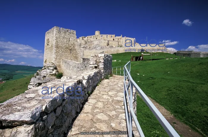 : Slovakia, Spis Region, Spissky Hrad. Spis : Slovakia, Spis Region, Spissky Hrad. Spis
