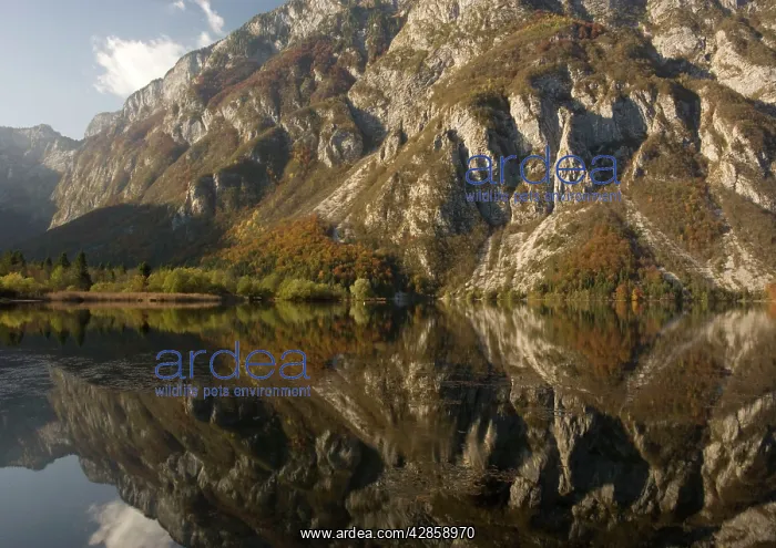 : Slovenia - Lake Bohinj in autumn : Slovenia - Lake Bohinj in autumn