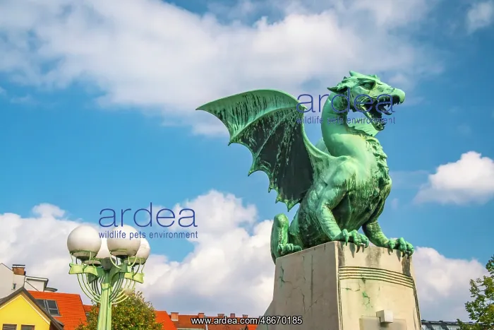 : Slovenia, Ljubljana. Statue on Dragon Bridge. ic Cathy & : Slovenia, Ljubljana. Statue on Dragon Bridge. ic Cathy &