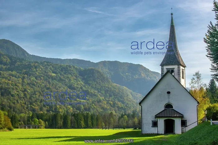 : Slovenia, Mojstrana. Church in Triglav National Park. ic Cat : Slovenia, Mojstrana. Church in Triglav National Park. ic Cat