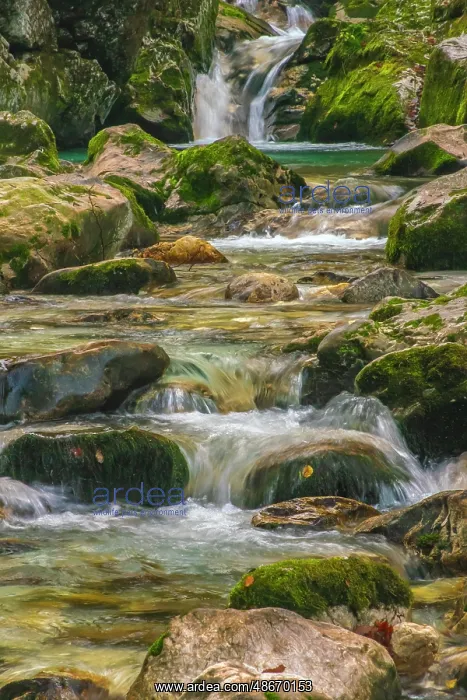 : Slovenia, Triglav National Park. Soca River waterfall and : Slovenia, Triglav National Park. Soca River waterfall and