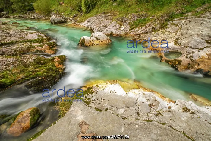 : Slovenia, Triglav National Park. Soca River rapids. ic Cathy : Slovenia, Triglav National Park. Soca River rapids. ic Cathy