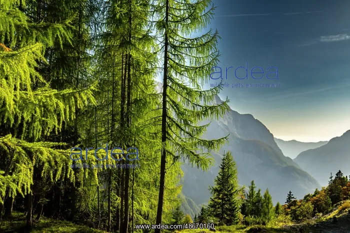 : Slovenia, Triglav National Park. Landscape with Julian Alps : Slovenia, Triglav National Park. Landscape with Julian Alps