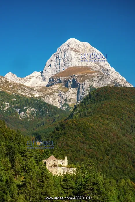 : Slovenia, Triglav National Park, Julian Alps. Landscape with : Slovenia, Triglav National Park, Julian Alps. Landscape with