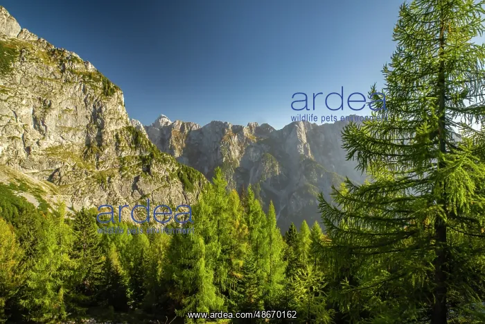: Slovenia, Triglav National Park. Landscape with Julian Alps : Slovenia, Triglav National Park. Landscape with Julian Alps