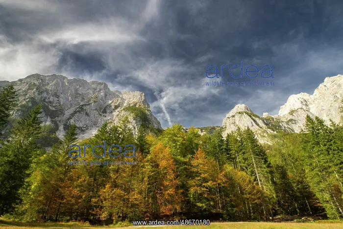 : Slovenia, Triglav National Park. Landscape with Julian Alps : Slovenia, Triglav National Park. Landscape with Julian Alps