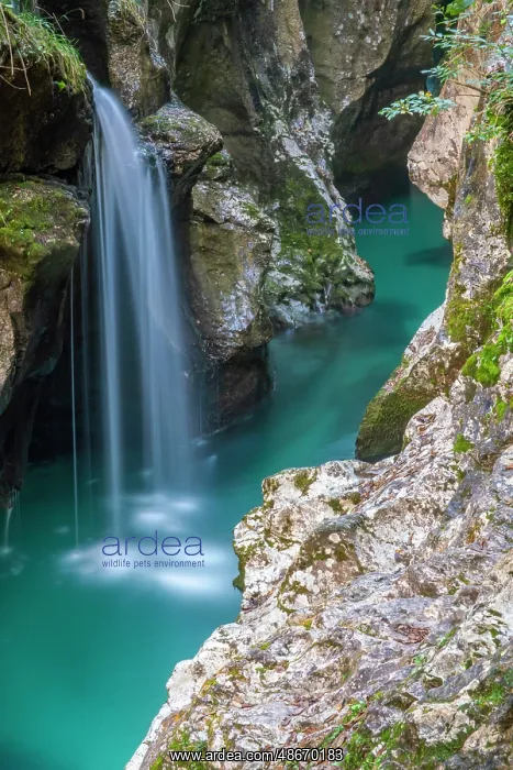: Slovenia, Triglav National Park, Soca River. Scenic with : Slovenia, Triglav National Park, Soca River. Scenic with