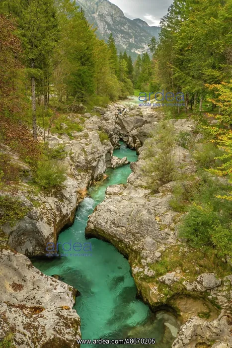 : Slovenia, Triglav National Park, Soca River. Landscape with : Slovenia, Triglav National Park, Soca River. Landscape with