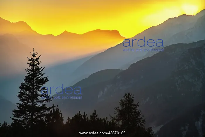 : Slovenia, Triglav National Park. Landscape with sunset on : Slovenia, Triglav National Park. Landscape with sunset on