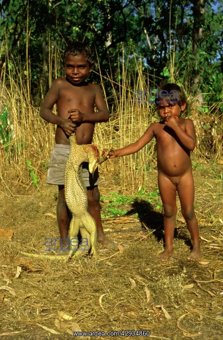: Two small boys.with beheaded goanna. Arnhemland : Two small boys.with beheaded goanna. Arnhemland