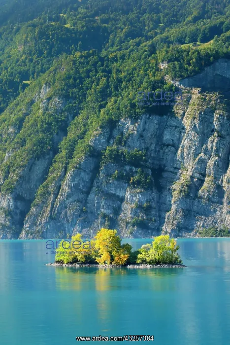 : Small chive island in the turquoise waters of Lake : Small chive island in the turquoise waters of Lake