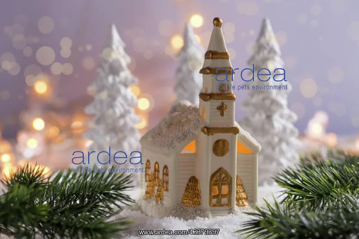 : Small church with candles and white trees as snowy : Small church with candles and white trees as snowy