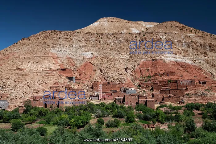 : Small clay village with Kasbahs, clay castles and : Small clay village with Kasbahs, clay castles and