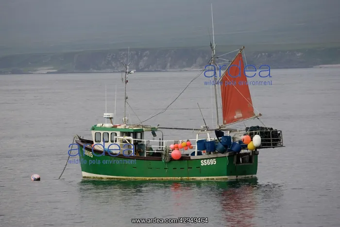 : Small fishing boat moored in Port Asaig : Small fishing boat moored in Port Asaig