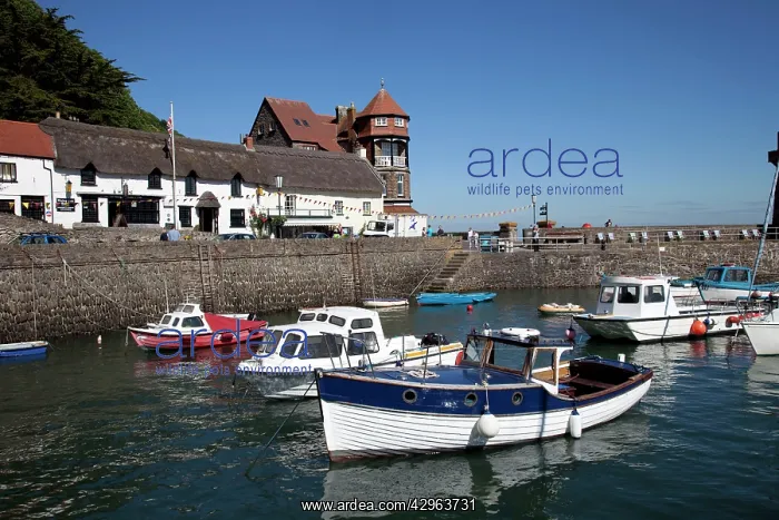 : Small fishing boats in Lynmouth harbour with : Small fishing boats in Lynmouth harbour with