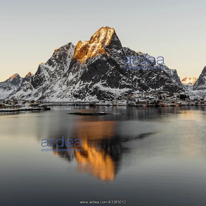 : The small fishing village Reine on the Lofoten islands i : The small fishing village Reine on the Lofoten islands i