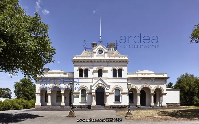 : The small historic township of Clunes lies half-way : The small historic township of Clunes lies half-way