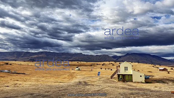 : A small house in an open, rural landscape under a dramatically cloudy sky : A small house in an open, rural landscape under a dramatically cloudy sky