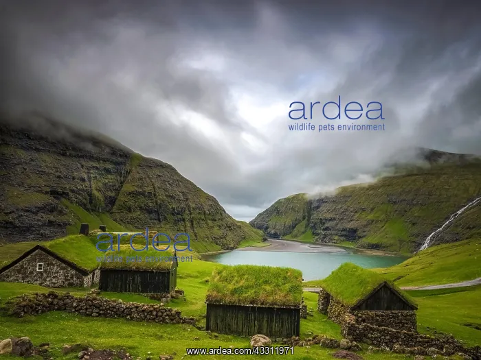 : Small houses near a blue lake, a small house made : Small houses near a blue lake, a small house made