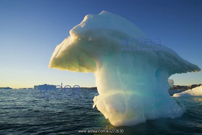  : Small iceberg drifting in Disko Bay, midnight