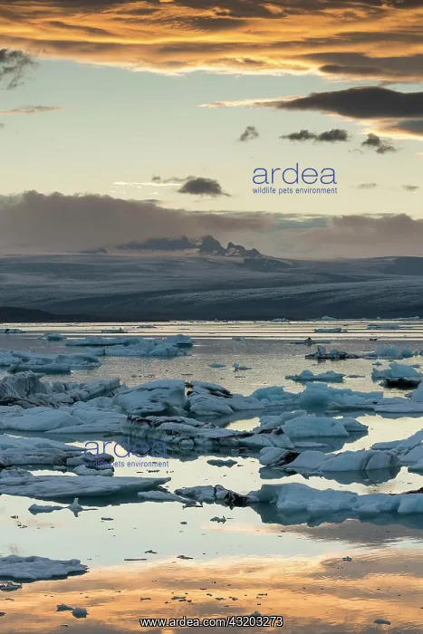 : Small icebergs in the glacier lagoon J&, x1abd6c;s&, x1cac;&, x : Small icebergs in the glacier lagoon J&, x1abd6c;s&, x1cac;&, x