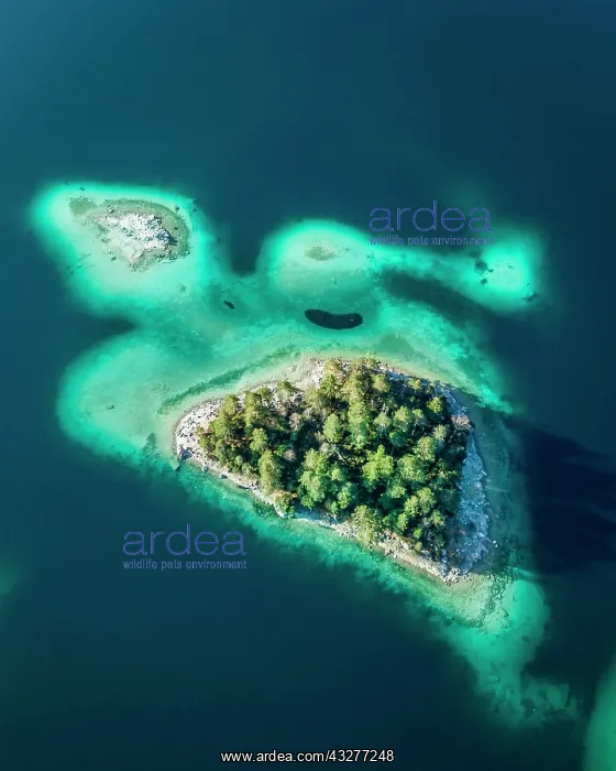 : Small island in the Eibsee lake, turtle sinel, drone : Small island in the Eibsee lake, turtle sinel, drone