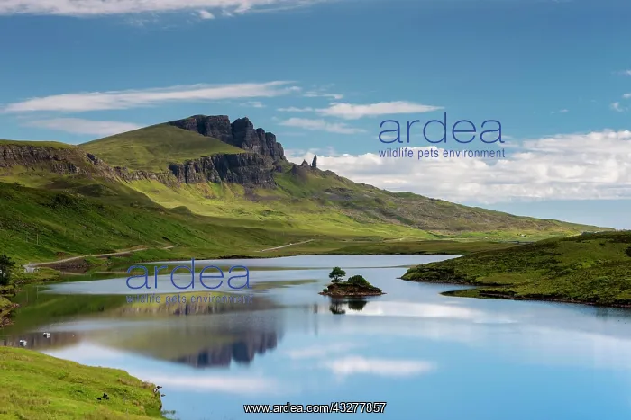  : Small island in the lake behind Old Man of Storr