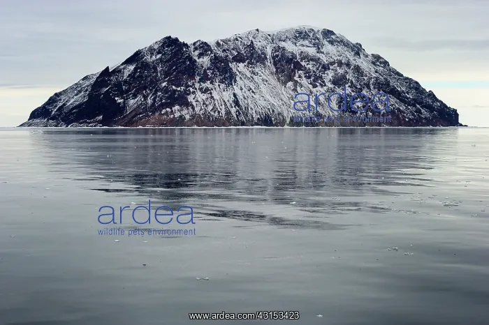 : Small island in the Ross Sea : Small island in the Ross Sea