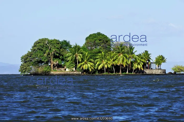 : Small island with tropical vegetation in Lake Nicaragua : Small island with tropical vegetation in Lake Nicaragua