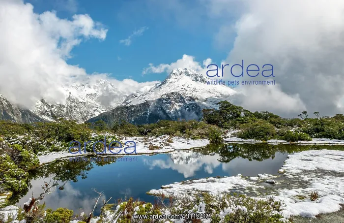 : Small mountain lake with reflection, view of cloud-covered : Small mountain lake with reflection, view of cloud-covered