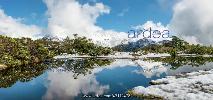 : Small mountain lake with reflection, view of cloud-covered : Small mountain lake with reflection, view of cloud-covered