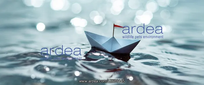 : Small paper ship on a glittering lake : Small paper ship on a glittering lake