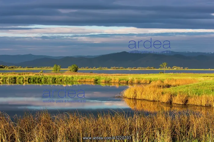 : Small pond reflects the clouds at sunrise : Small pond reflects the clouds at sunrise