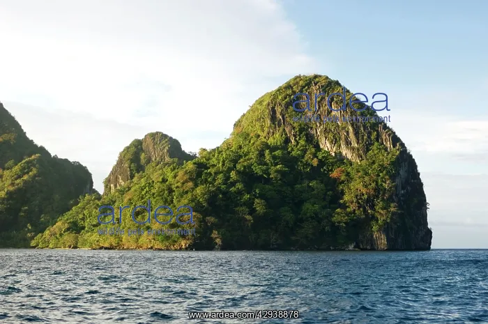 : Small rocky volcanic island near El Nido : Small rocky volcanic island near El Nido