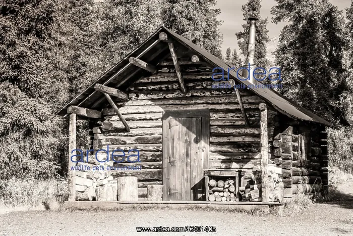 : Small, rustic log home in sepia : Small, rustic log home in sepia