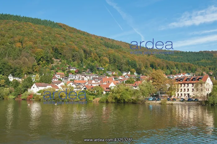 : Small town on the Neckar River, Germany : Small town on the Neckar River, Germany