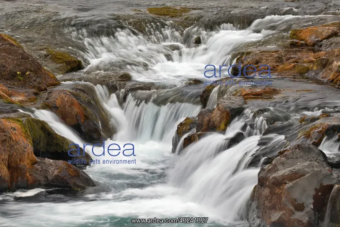: Small waterfall, Iceland : Small waterfall, Iceland