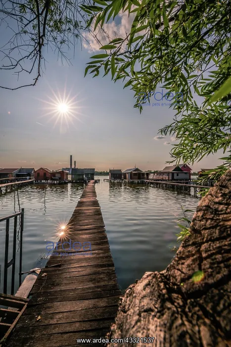 : Small wooden houses with a jetty in a lake, they : Small wooden houses with a jetty in a lake, they