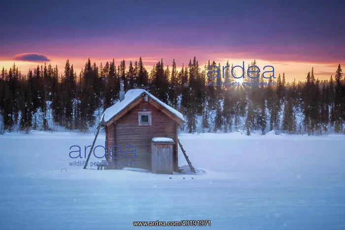 : Small wooden hut against the light at extremely : Small wooden hut against the light at extremely