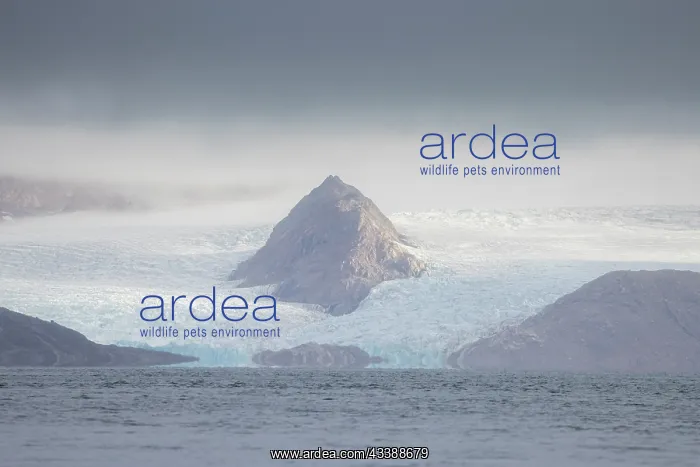 : Smeerenburgbreen : Smeerenburgbreen