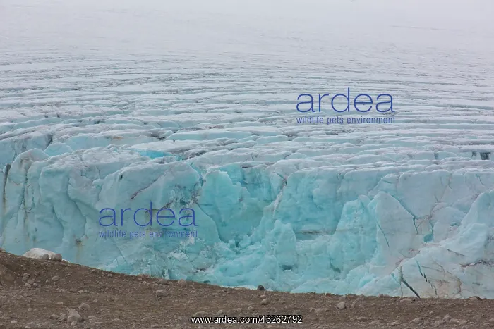  : Smeerenburgbreen glacier debouches into Bjornfjord