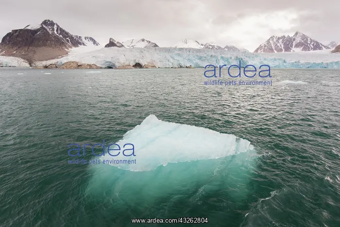 : Smeerenburgbreen glacier debouches into Bjornfjord : Smeerenburgbreen glacier debouches into Bjornfjord