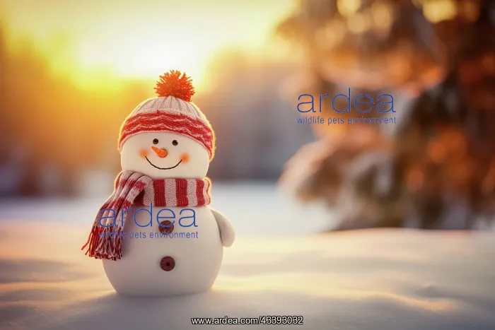 : Smiling cute snowman with a red scarf and hat in : Smiling cute snowman with a red scarf and hat in