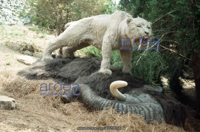 : SMILODON / Sabre-Tooth Cat / TIGER on mammoth kill : SMILODON / Sabre-Tooth Cat / TIGER on mammoth kill