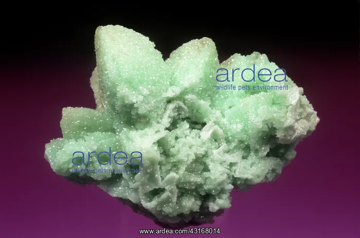 : Smithsonite : Smithsonite