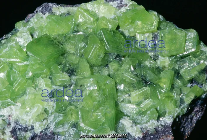 : SMITHSONITE - order of Zinc. Zn Co3 : SMITHSONITE - order of Zinc. Zn Co3