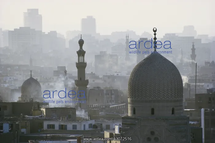 : Smog over Cairo, Egypt : Smog over Cairo, Egypt